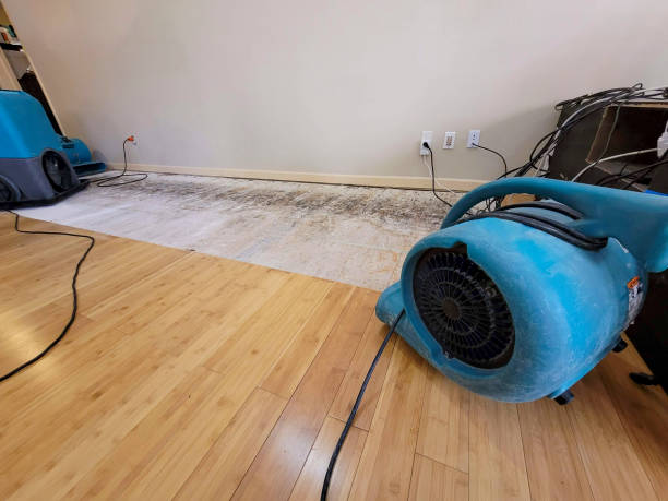 Professional Flood Damage Cleanup technician working in Belle, WV